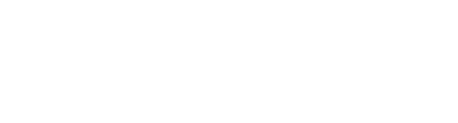 Risk Ledger Long White Logo